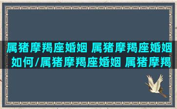 属猪摩羯座婚姻 属猪摩羯座婚姻如何/属猪摩羯座婚姻 属猪摩羯座婚姻如何-我的网站